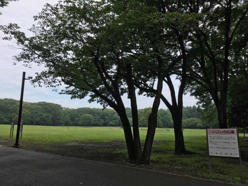 小金井公園1